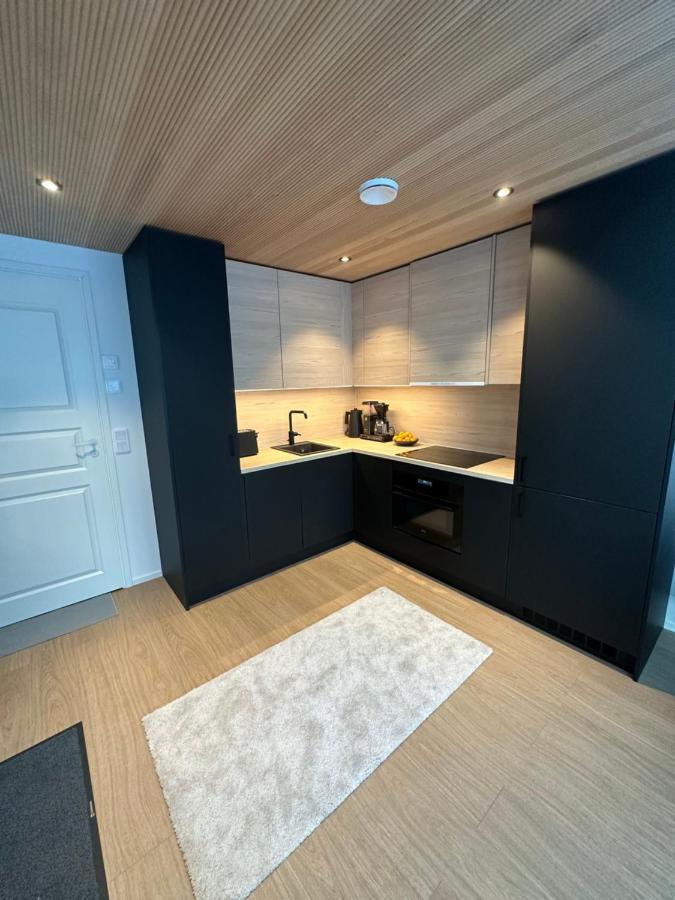 Levi Aurora Sky Villa Bagian luar foto